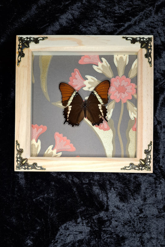Rusty Tipped Page Framed