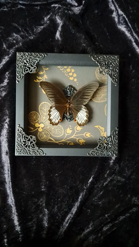 Scarlet Mormon Framed