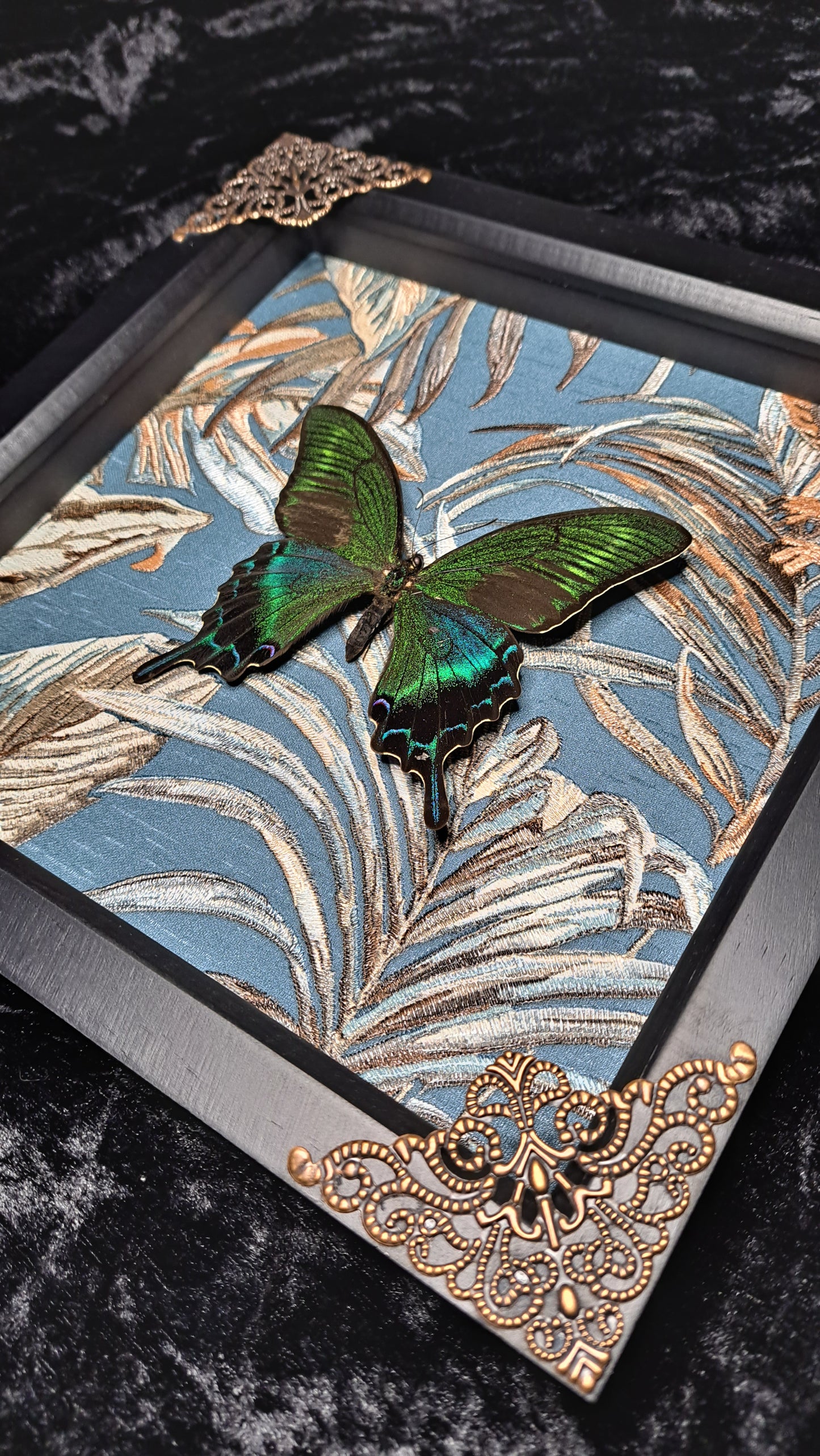 Alpine Black Swallowtail Framed