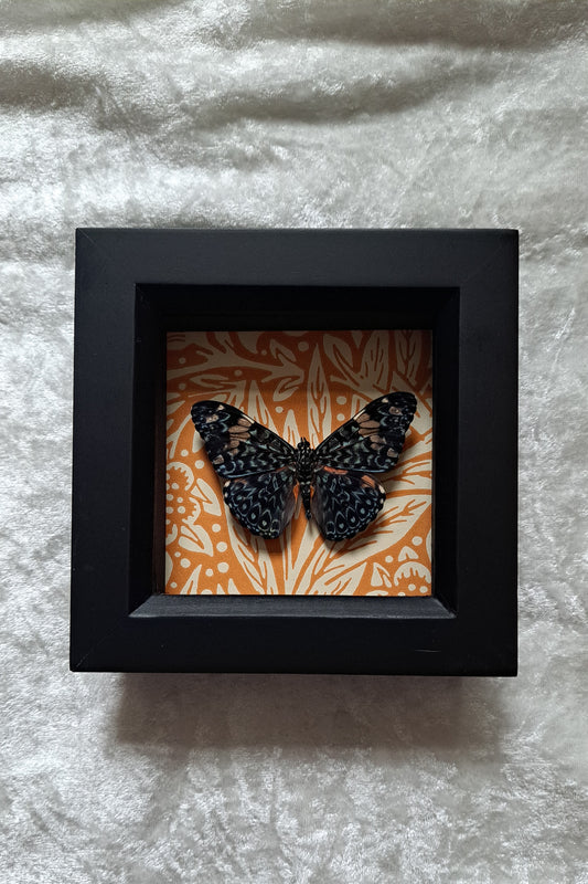 Red Cracker Framed