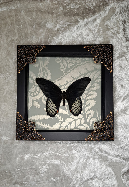 Scarlet Mormon Framed III