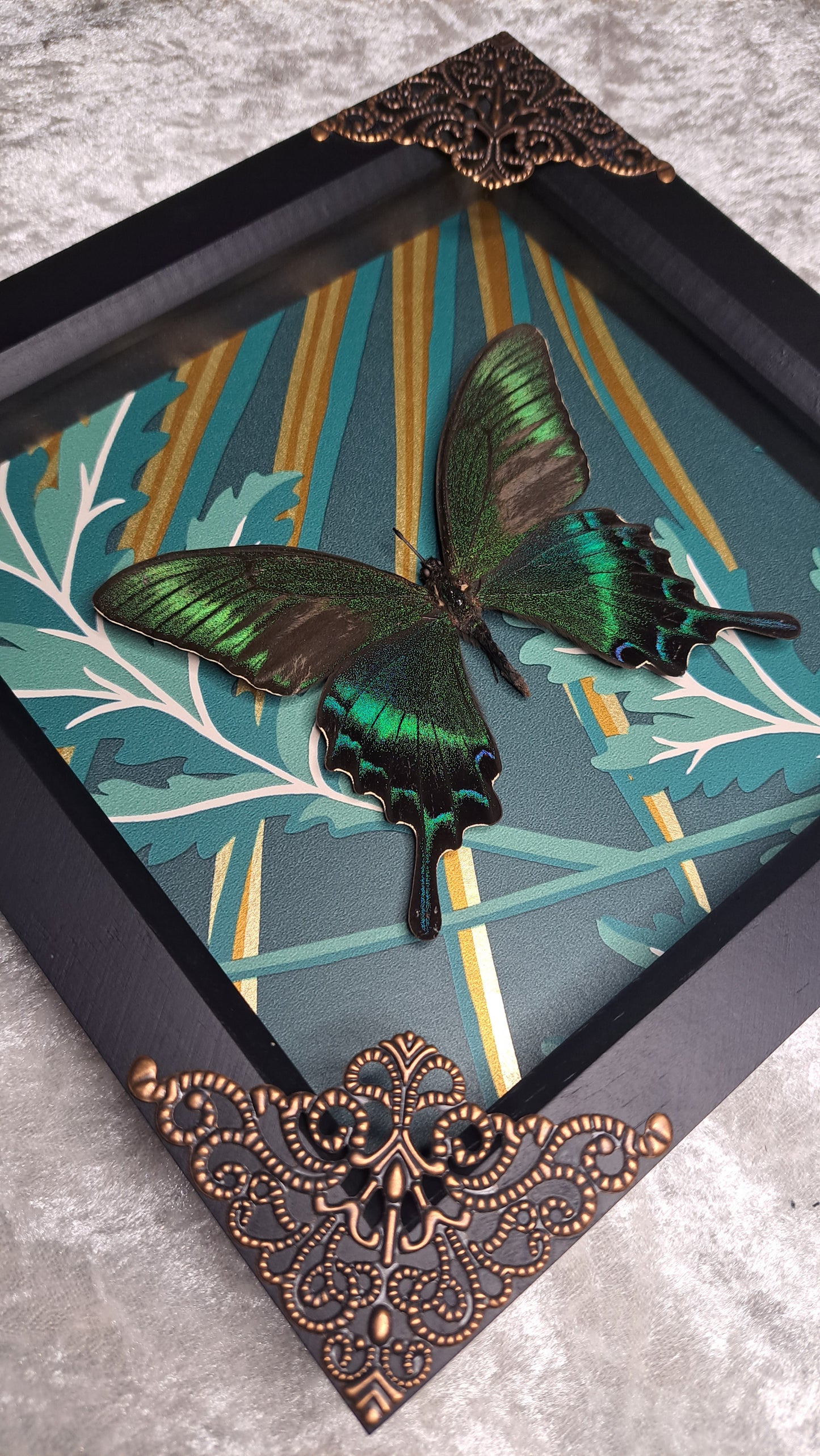 Alpine Black Swallowtail Framed II