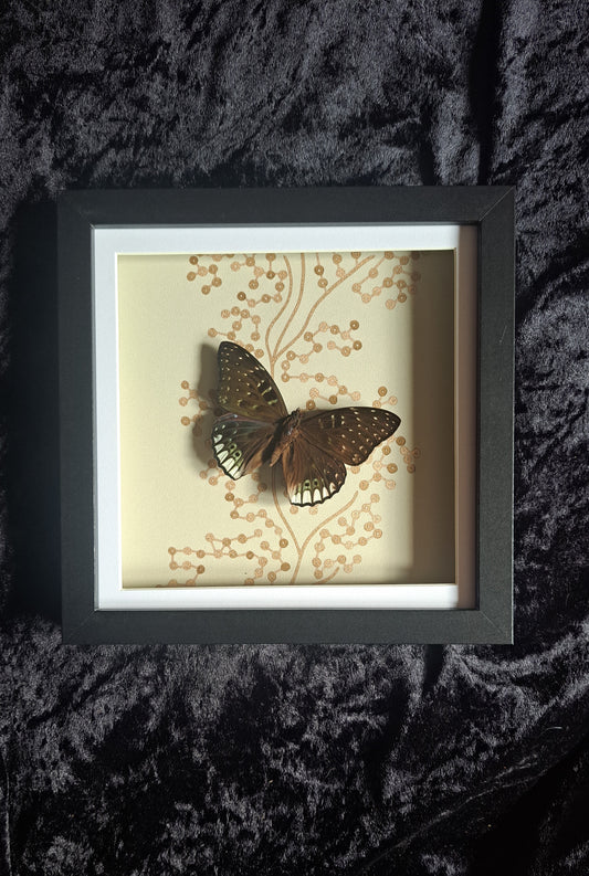 White Edged Constable Framed