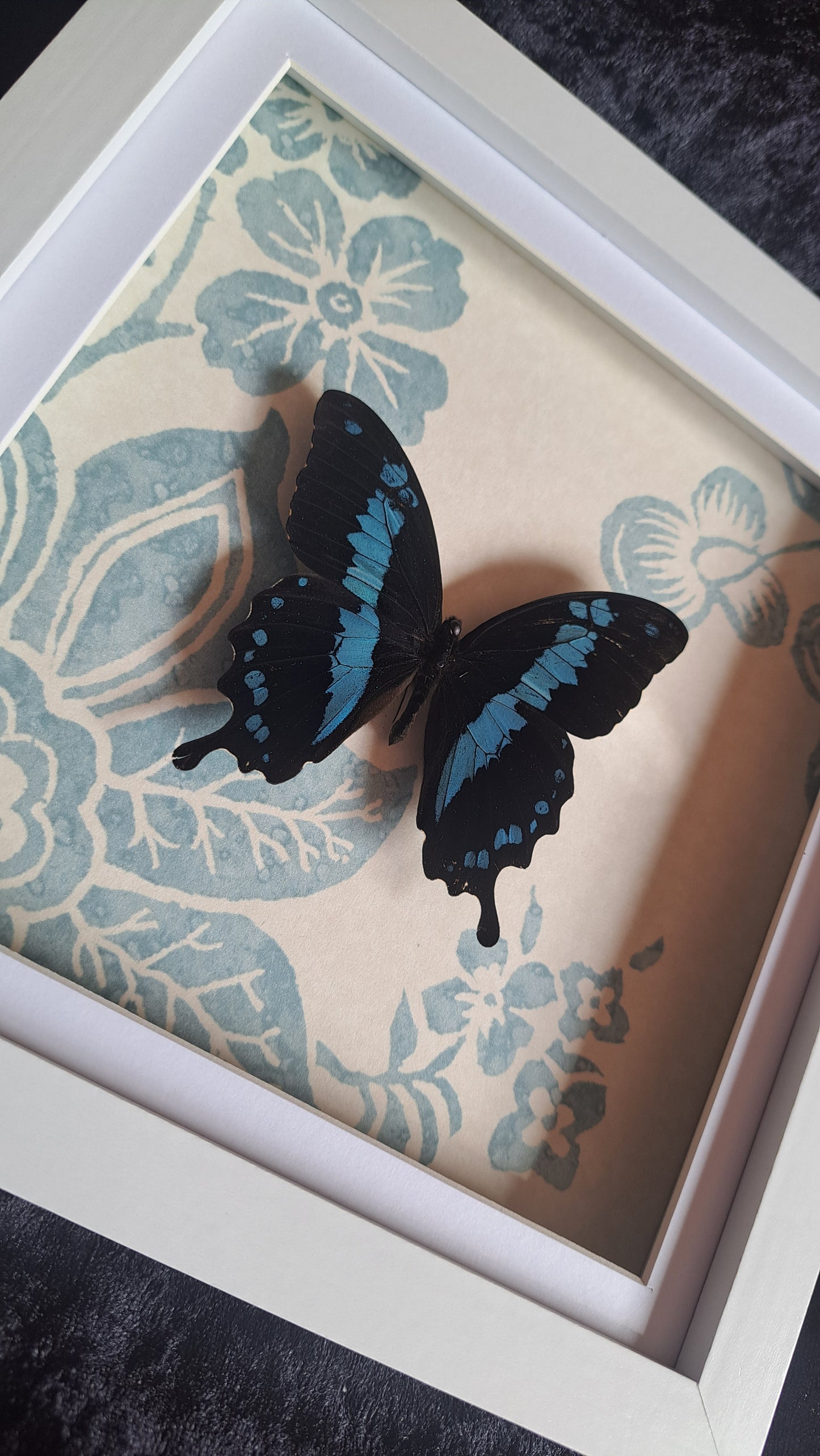 Blue Swallowtail Framed